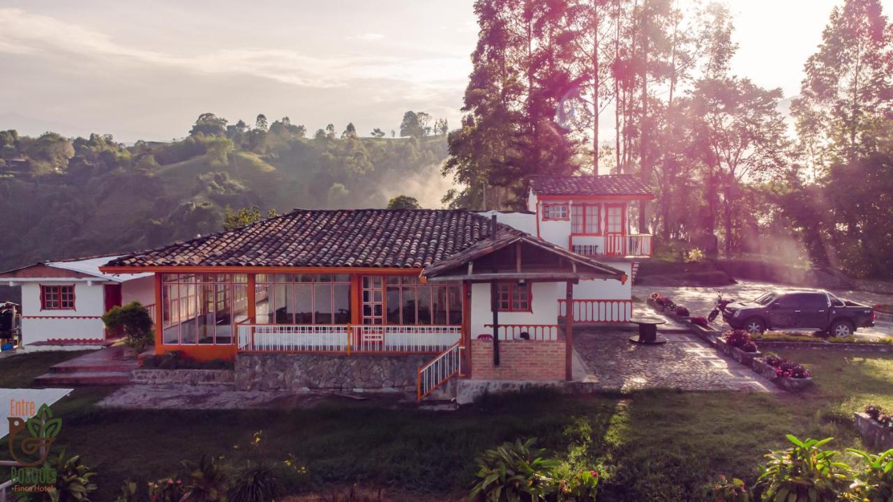Ecohotel Entrebosques Salento Dış mekan fotoğraf