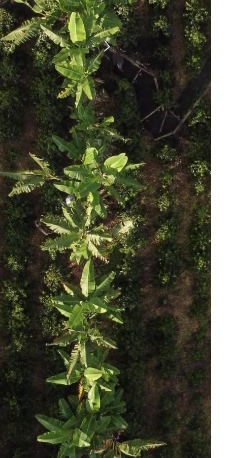 Ecohotel Entrebosques Salento Dış mekan fotoğraf