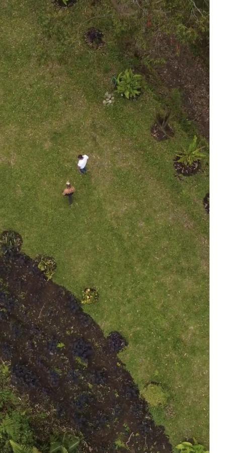 Ecohotel Entrebosques Salento Dış mekan fotoğraf